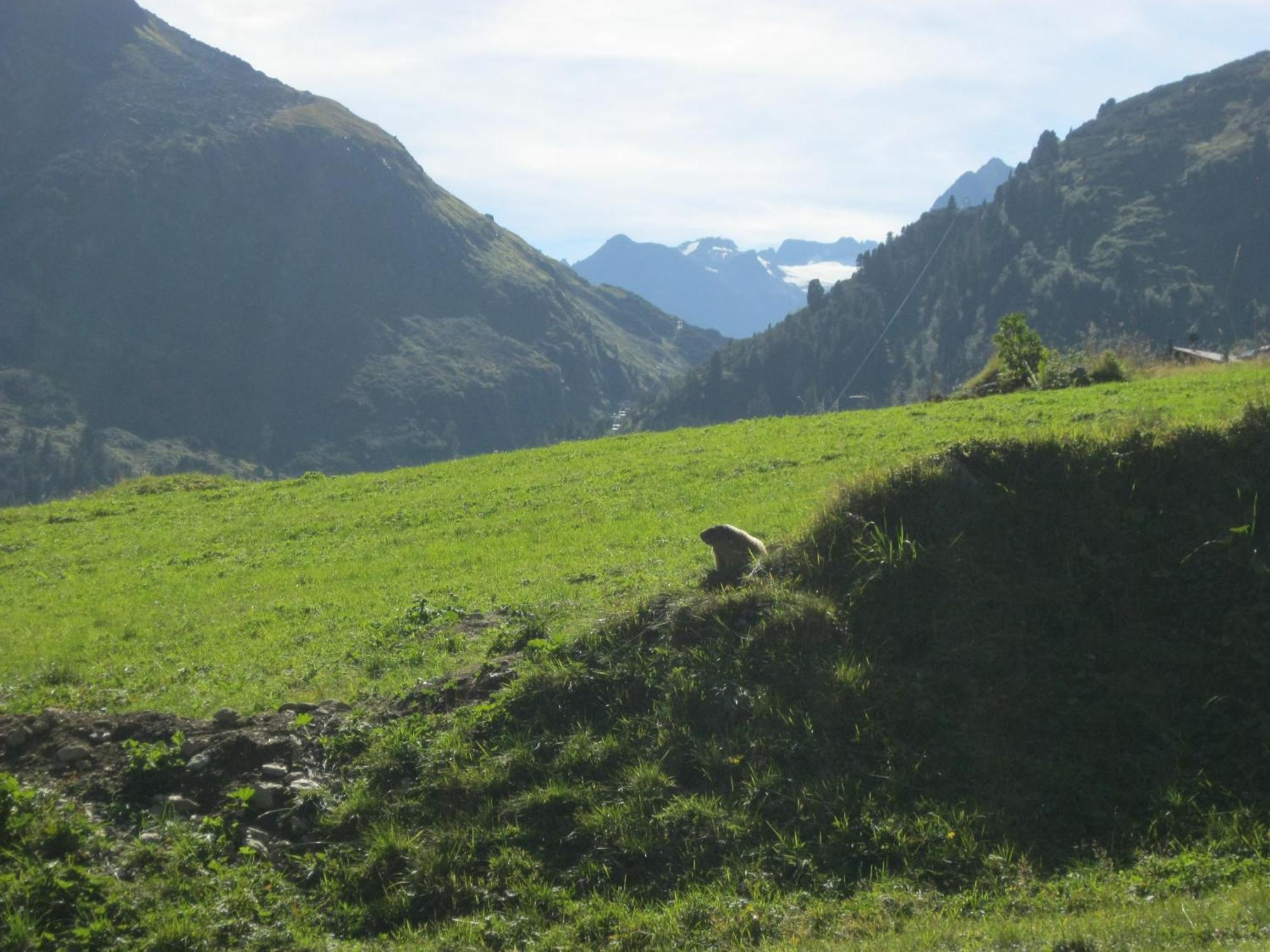 Ferienhaus Stubai Neustift im Stubaital Extérieur photo